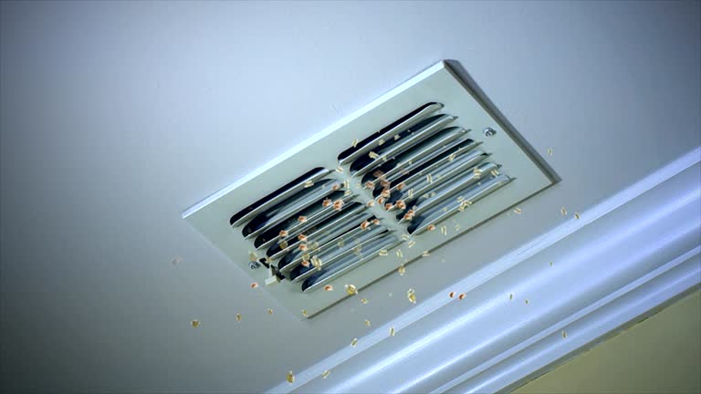Best Ductwork Cleaning Services  in Saginaw, TX