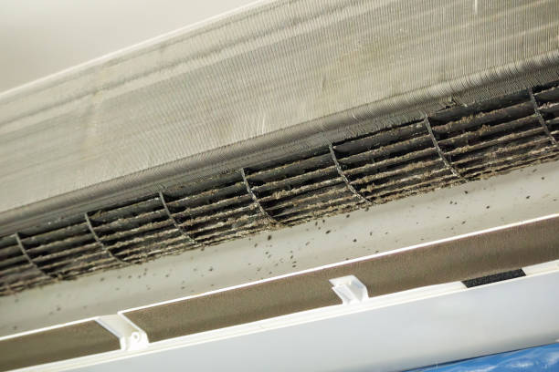 Best Commercial Air Duct Cleaning  in Saginaw, TX